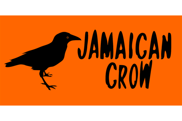 Transform Your Brand with Jamaican Crow: A Friendly Display Font